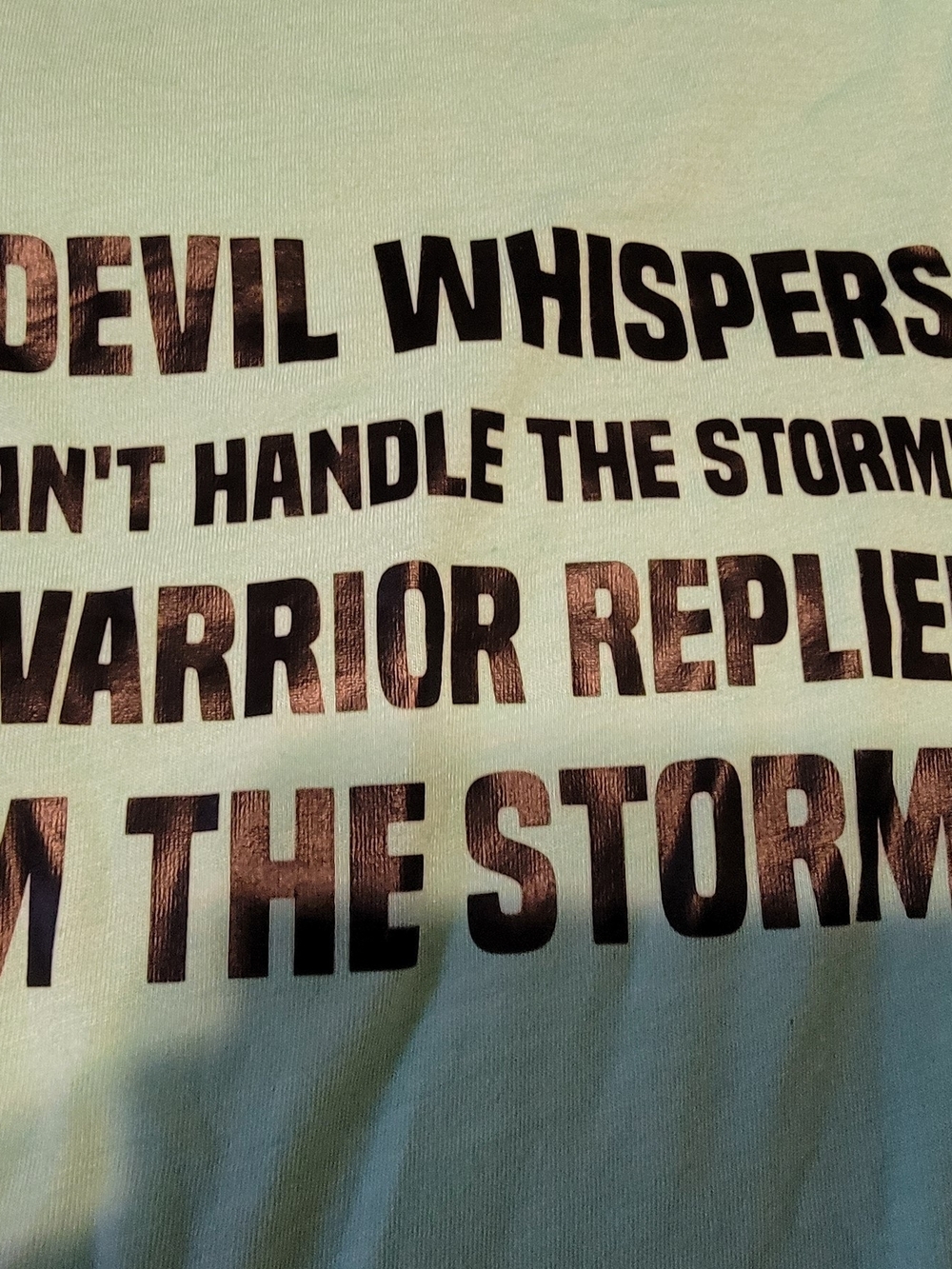 Women's Graphic T‑Shirt in Light Mint with Black Text